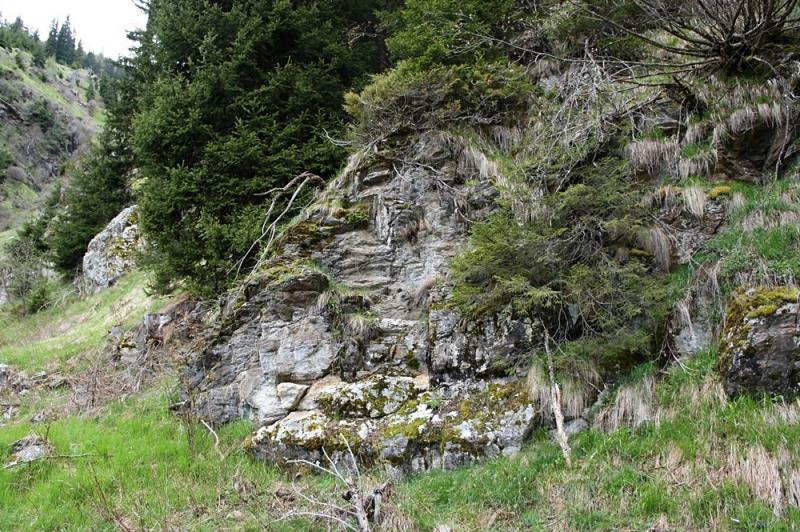 arachnoideum from Antholzer See