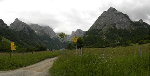 kosaninii from Valušnica (Mitte)