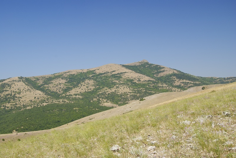 klepa from Gorno Čičevo (oberhalb)
