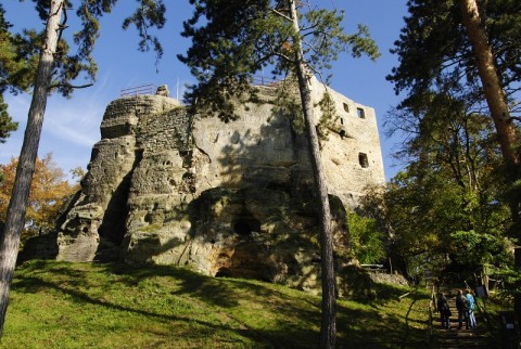 globiferum ssp. globiferum from Boseň, Burg Valečov