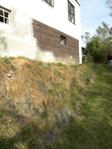 globiferum ssp. globiferum from Piplův mlýn