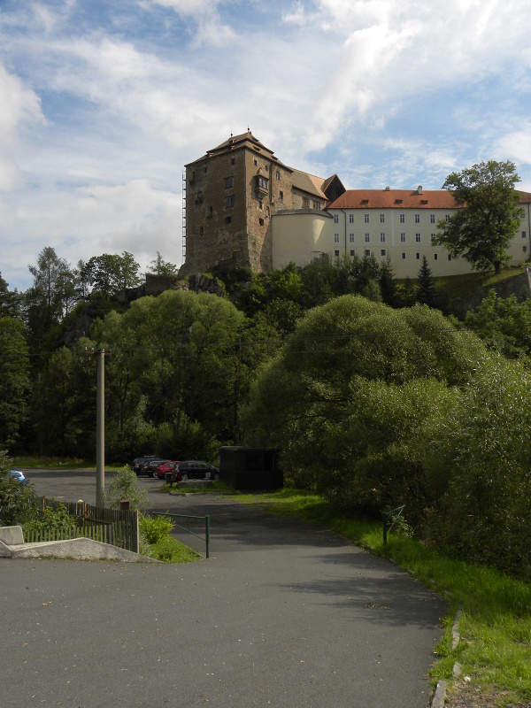 globiferum ssp. globiferum from Bečov nad Teplou, Burg