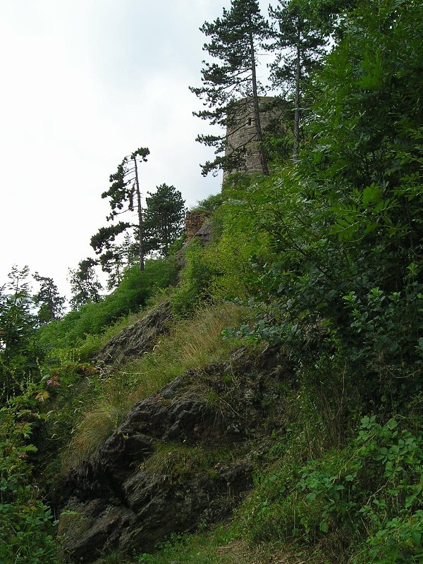 globiferum ssp. globiferum from Burg Žebrák, Točník