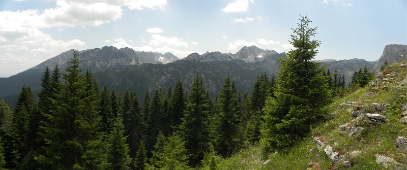 marmoreum from Ražana glava