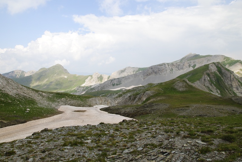 sp. from Golem Korab, O