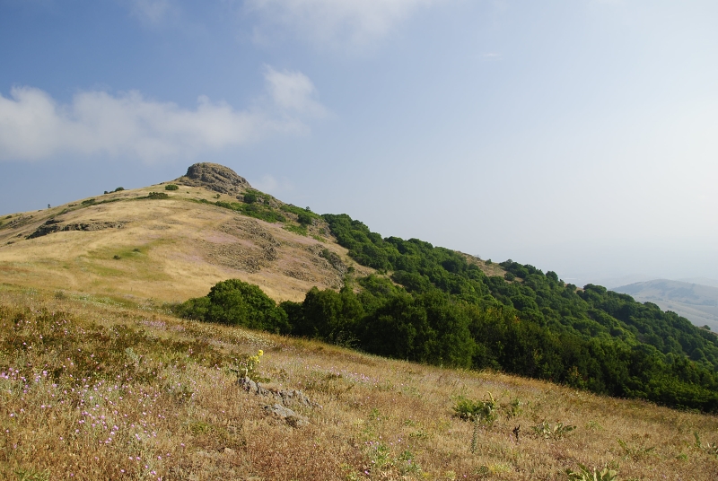 klepa from Klepa (Gipfel)