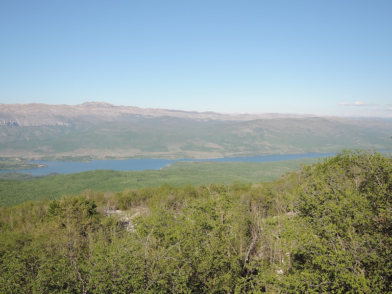 marmoreum from Mt. Svilaja
