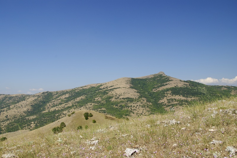 klepa from Gorno Čičevo, NW