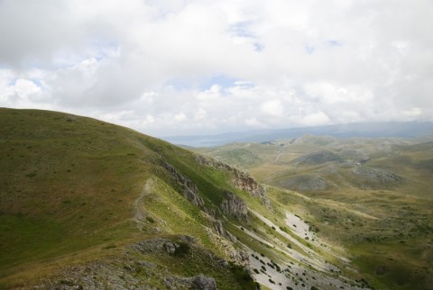 heuffelii from Manastirište