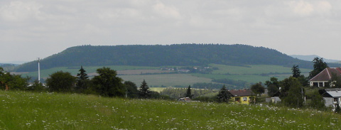 globiferum ssp. globiferum from Kozelka
