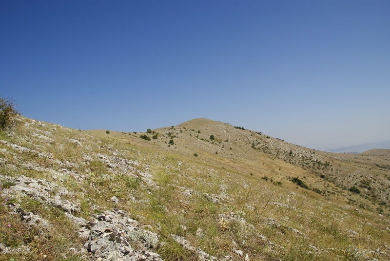 klepa from Gorno Čičevo (oberhalb)