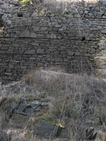 globiferum ssp. globiferum from Libštejn