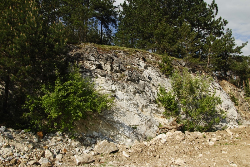 globiferum ssp. globiferum from Hejná, Radvanka