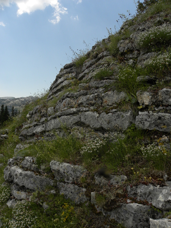 marmoreum from Ražana glava