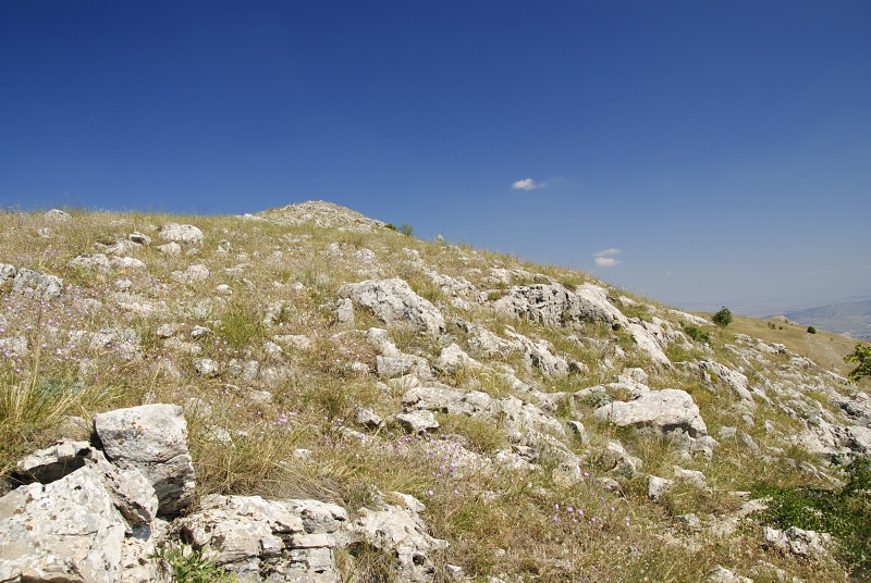 klepa from Gorno Čičevo, NW