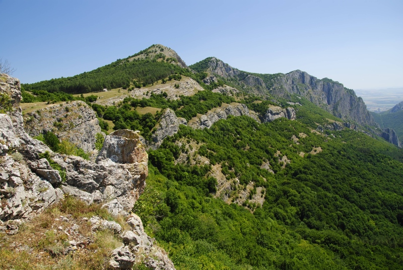 heuffelii from Garvanec