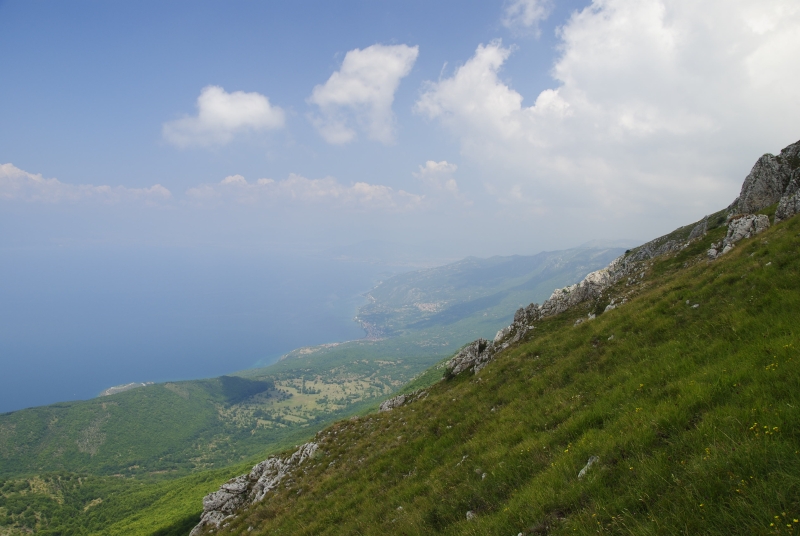ciliosum from Lako Signoj, W Abhang