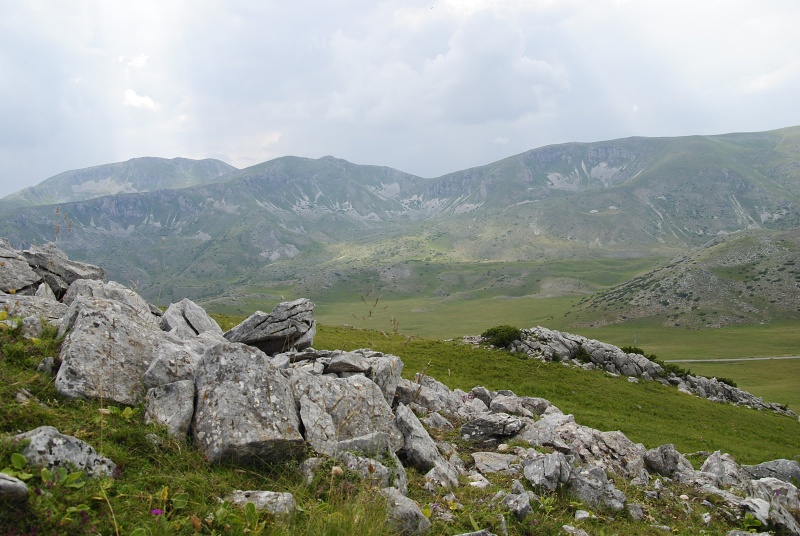 heuffelii from Smrdlivi virovi, Gipfel