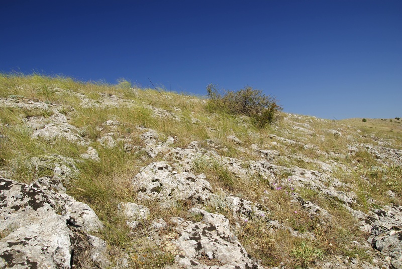 klepa from Gorno Čičevo (oberhalb)
