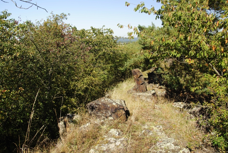 globiferum ssp. globiferum from Statíková skála