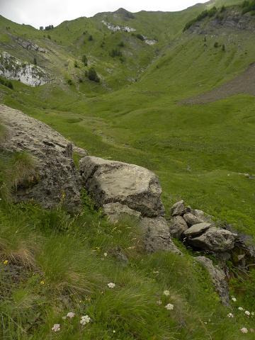 kosaninii from Valušnica (unten)
