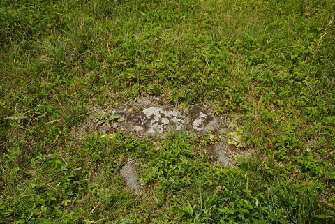 globiferum ssp. globiferum from Nevděk