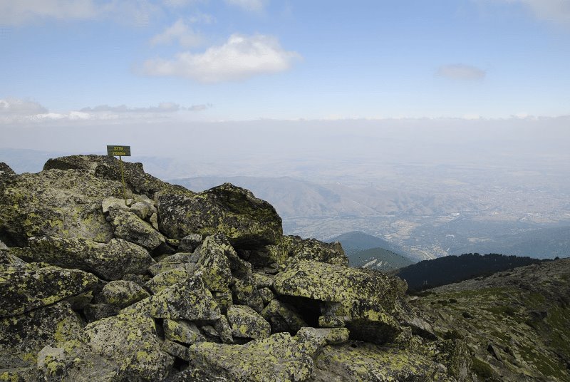 heuffelii from Stiv, Gipfel