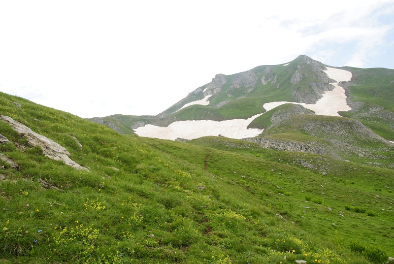 sp. from Nistrovski Korab