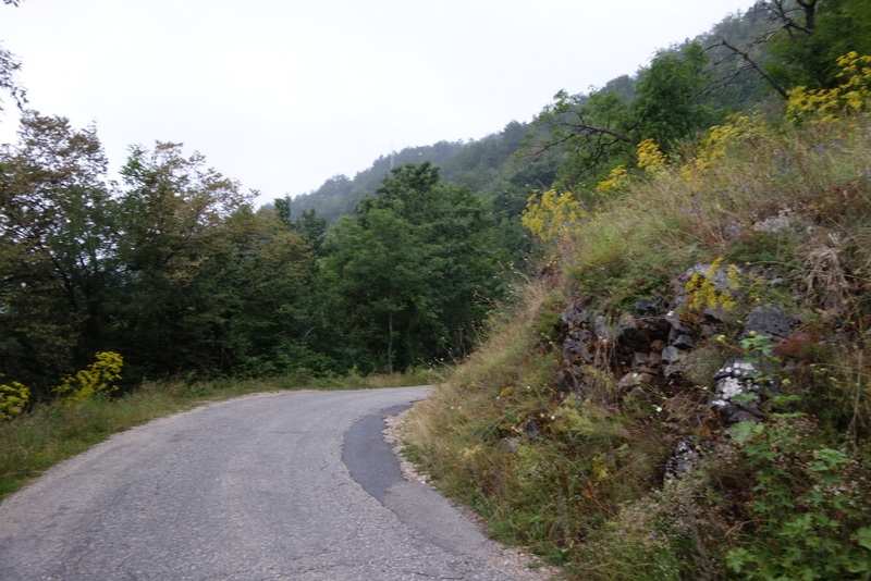 heuffelii from Pivska planina