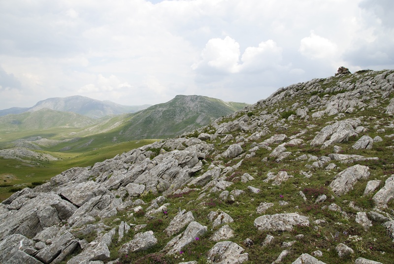 heuffelii from Smrdlivi virovi, SO