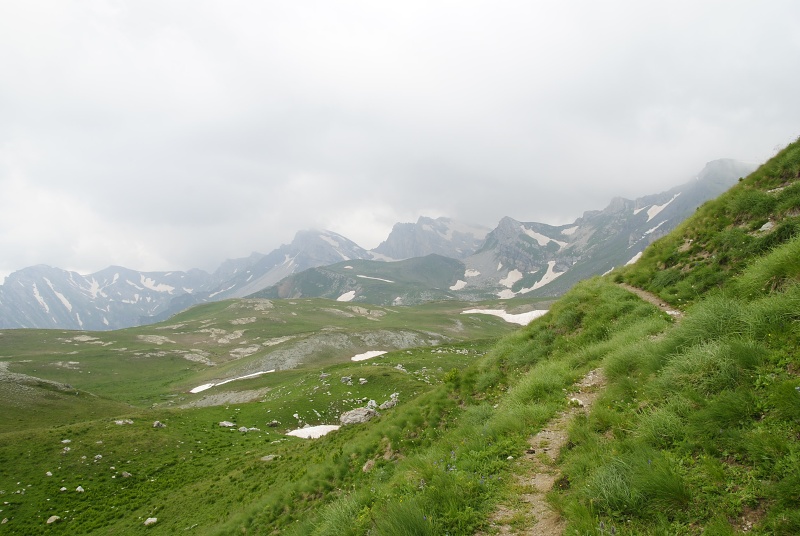 heuffelii from Kobilino pole, O