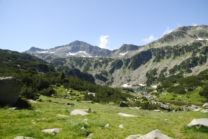 heuffelii from Ribnosee, unterhalb