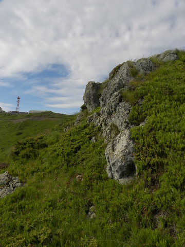 sp. from Pančičev vrh