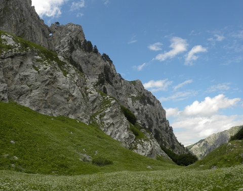 kosaninii from Vojuša