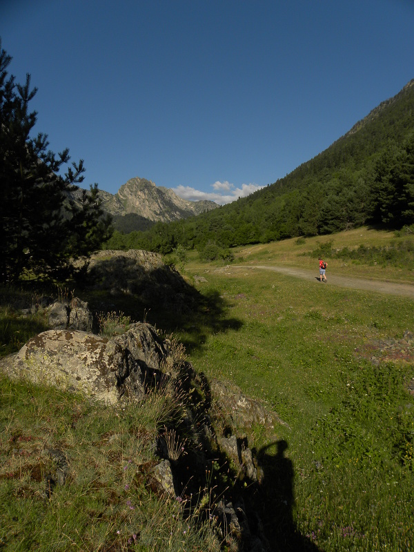 arachnoideum from Sant Maurici, Brücke
