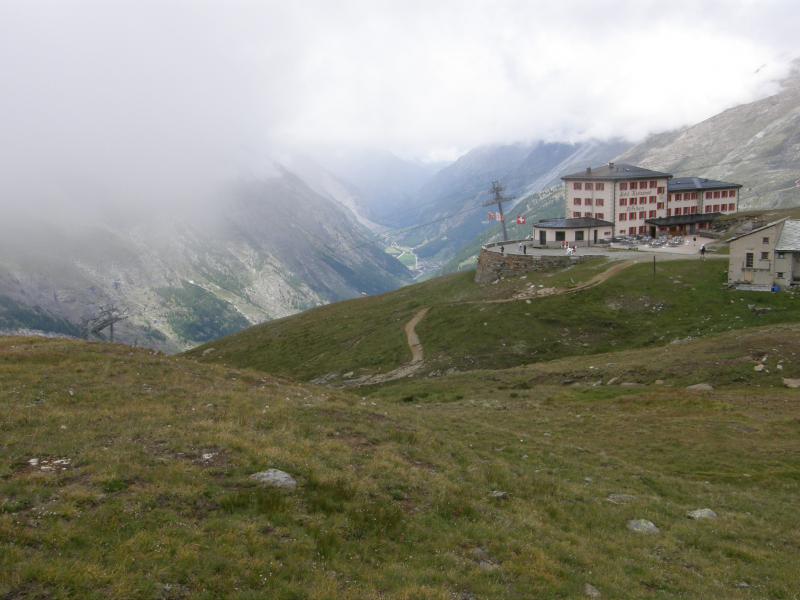 arachnoideum ssp. arachnoideum from Gornergrat (Riffelberg)