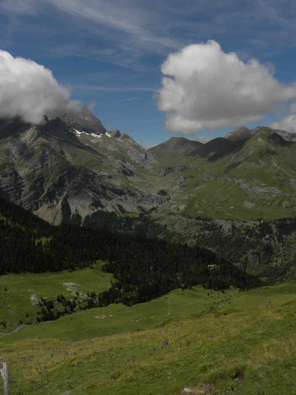 barbulatum from Gavarnie, Hütte Pailla