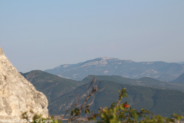 calcareum from Col d'Oure 8