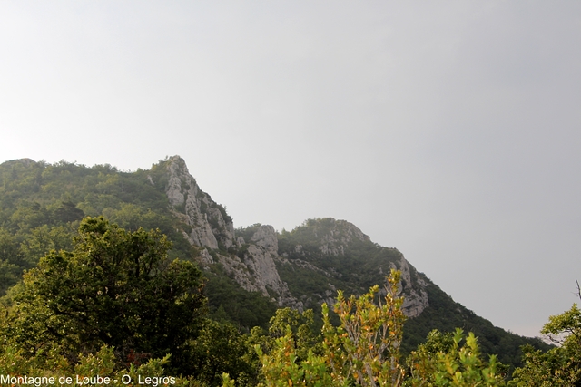 calcareum from Col de Sanguinet