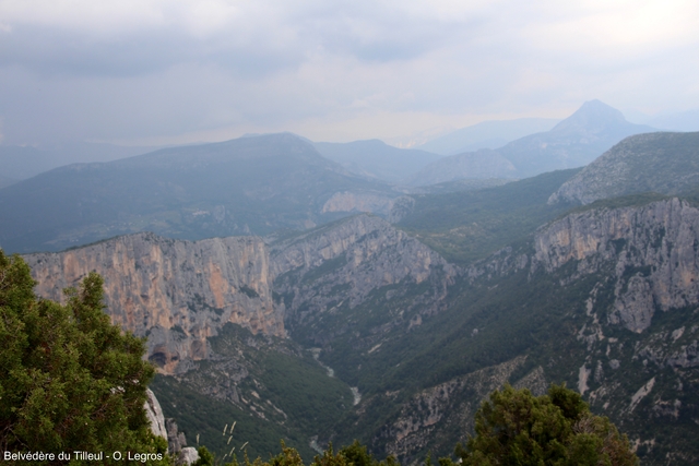 calcareum from Route des crêtes au Belvédère du Tilleul