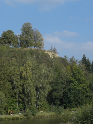 globiferum ssp. globiferum from Dolní Bělá