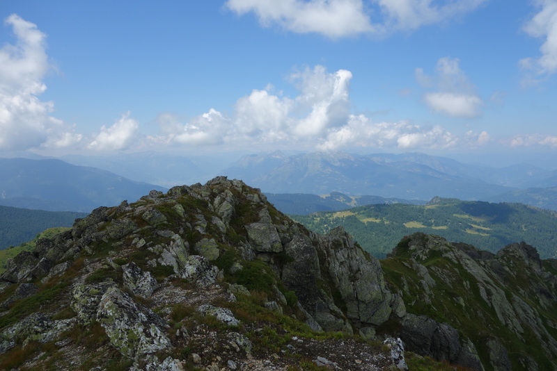 heuffelii from Hridski krš