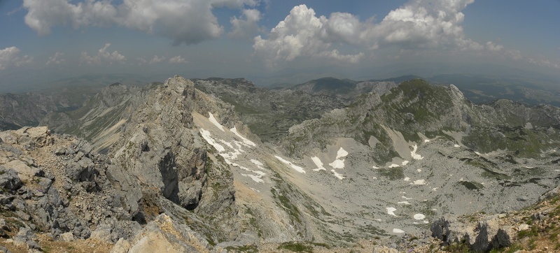 heuffelii (glabrum) from Mliječni do