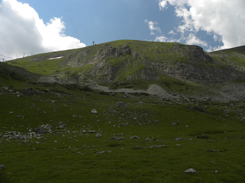 heuffelii (glabrum) from Popova Šapka