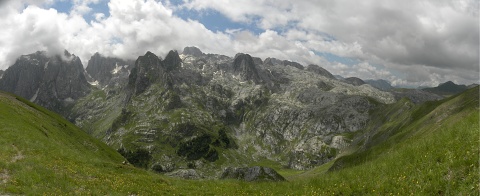 heuffelii (glabrum) from Valušnica (Gipfel des Talijanka)