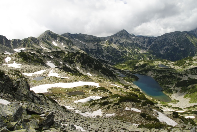 heuffelii from Bashliyska Porta