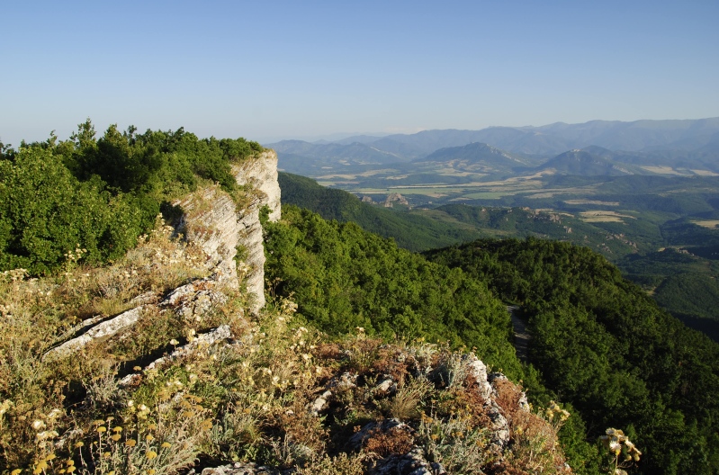 heuffelii from Belogradčik O