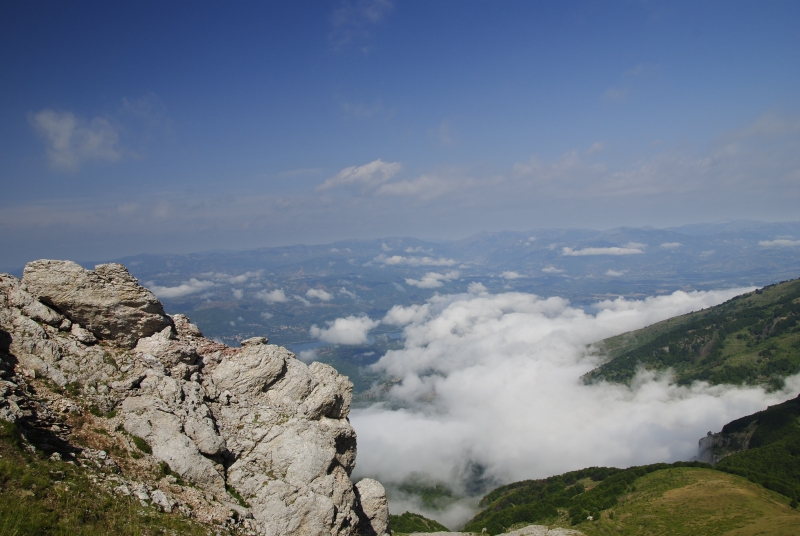 heuffelii from Bijak Dorok, O Abhang