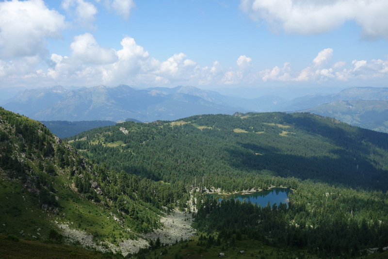 heuffelii from Hridski jezero