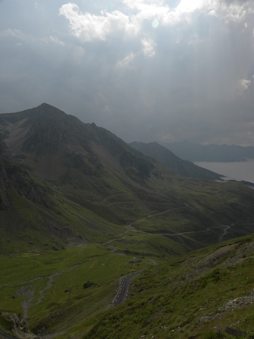montanum x S. tectorum from Col du Tourmalet (unterhalb)